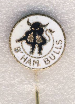 Футбольный клуб Birmingham Bulls. Англия..jpg