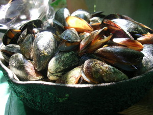 DSCN4571.JPG