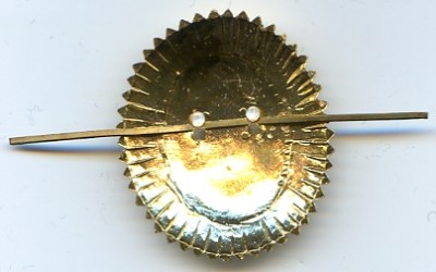 gel029.jpg