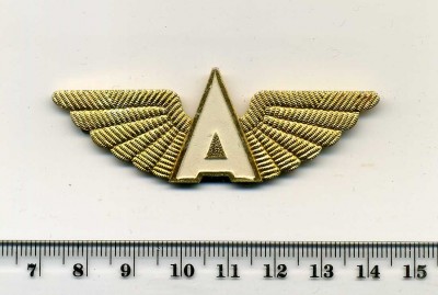 Avto-1 361.jpg