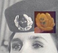 Стюардесса 72 1.jpg