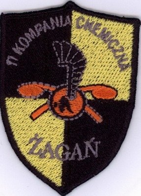 Войска РХБ защиты Польши нет.jpg