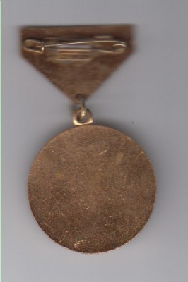 Медаль Халхын Гол.jpg