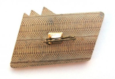 спутник1 оборот.JPG