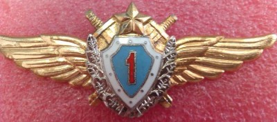 летчик1классРФ.JPG