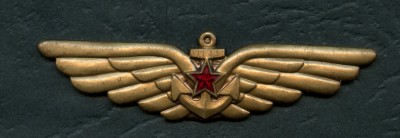 пал.авиация1.jpg