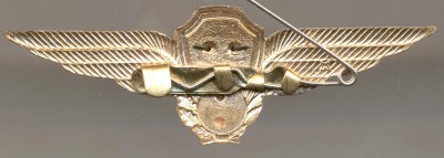 wings_VTA_rev.jpg