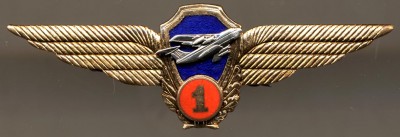 wings_VTA.jpg