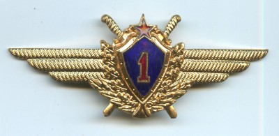 крылья синий цвет.jpg