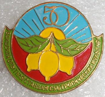 Изображение 2629.jpg