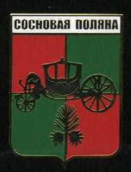 Сосновая поляна.jpg