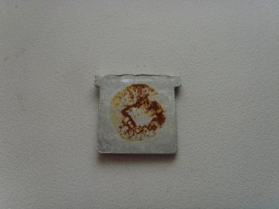 SNV31229.JPG