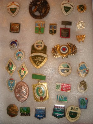 DSC00575.JPG