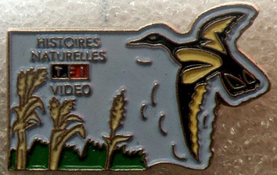 TF1 Истории натуралиста.jpg