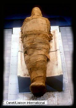 mummy.jpg