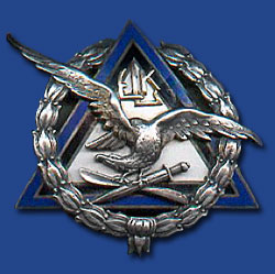 Estonian Pilot Shool Graduate Badge.jpg