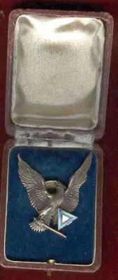 Estonian Pilot Badge in case.jpg