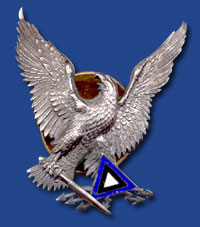 Estonian Pilot Observer Badge.jpg