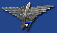 Estonian Flight Engineer Badge.jpg