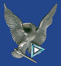 Estonian Pilot Badge.jpg