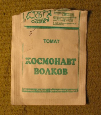 Томат Космонавт Волков.JPG