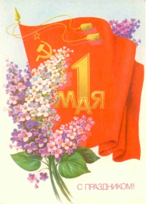 185.jpg
