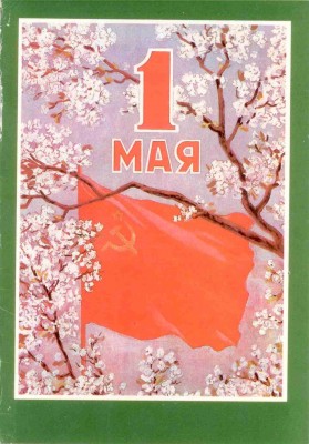 186.jpg