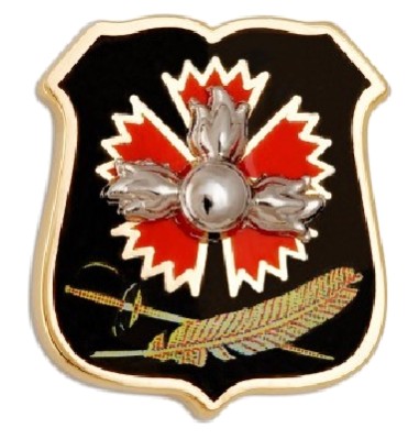 Project29 381X399.jpg