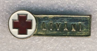 Красный крест. п.Ливани. Латвийская ССР..jpg