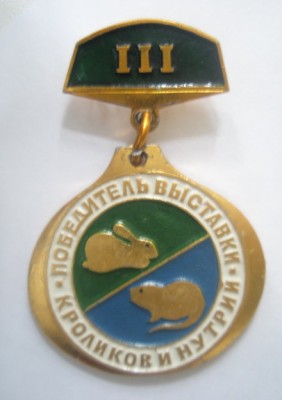 Победитель выставки кроликов и нутрий.jpg