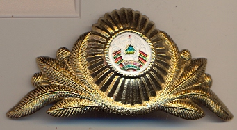 сканирование0028.jpg