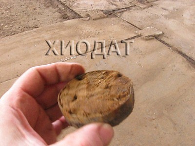 17_Коробочка_2.jpg