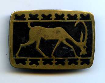 img488.jpg