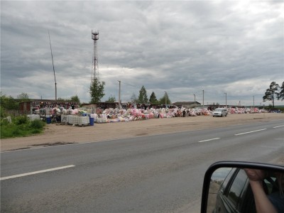 255.jpg