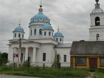 263.jpg