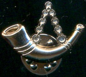 Беловежская пуща серебристый рожок.jpg