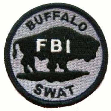 Buffalo, New York Division SWAT - Very Rare.jpg