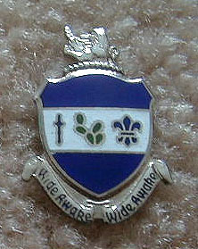JAV 151Inf Reg LRS.jpg