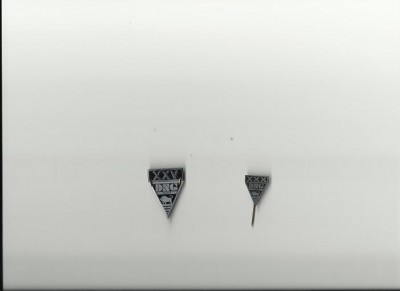 DSG pins 001.jpg