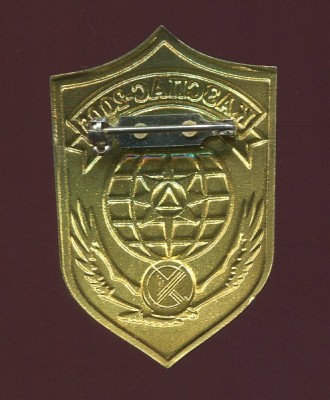 img270.jpg