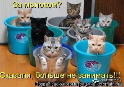 getImageCADHA5HY.jpg