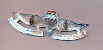 кения полис реверс.jpg