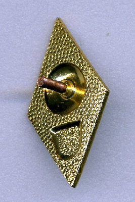 img331.jpg