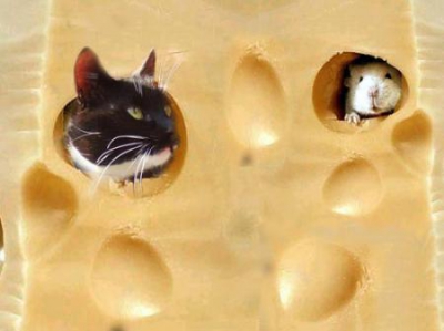 1335368954_cheese_cat_mouse.jpg