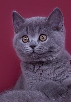 20120611_IMG_2633-Edit_small - копия.jpg