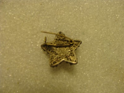 DSC02017.JPG