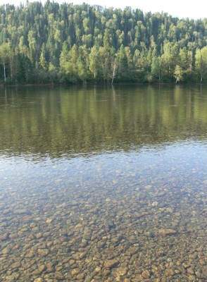 P1240848.JPG