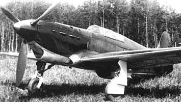 yak1-i.jpg