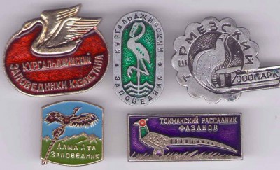 Птицы из Средней Азии..jpg