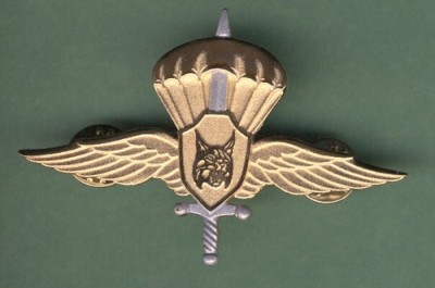 slovenijos SF para.jpg